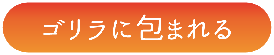 ゴリラに包まれる