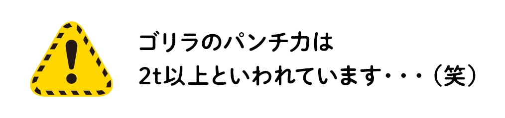 ゴリラのパンチ力は2t以上といわれています・・・（笑）